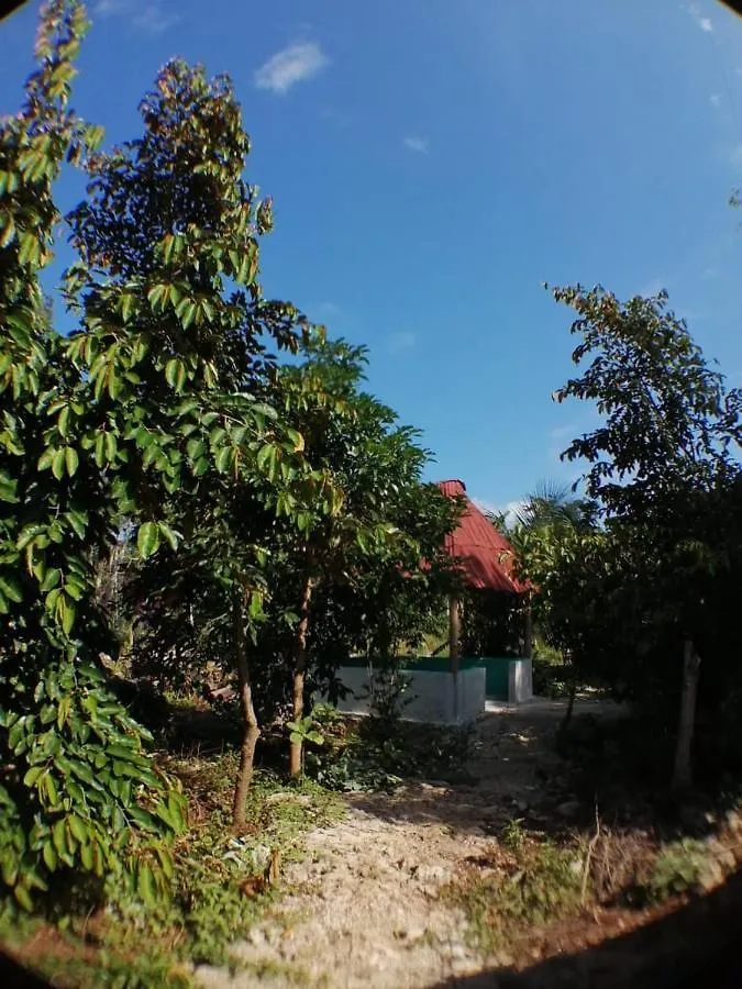 Вилла Jungle Oasis Тулум