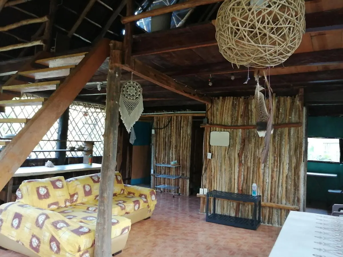 Дом отдыха Вилла Jungle Oasis Тулум