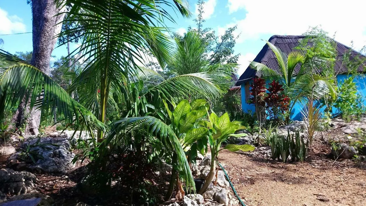 Вилла Jungle Oasis Тулум