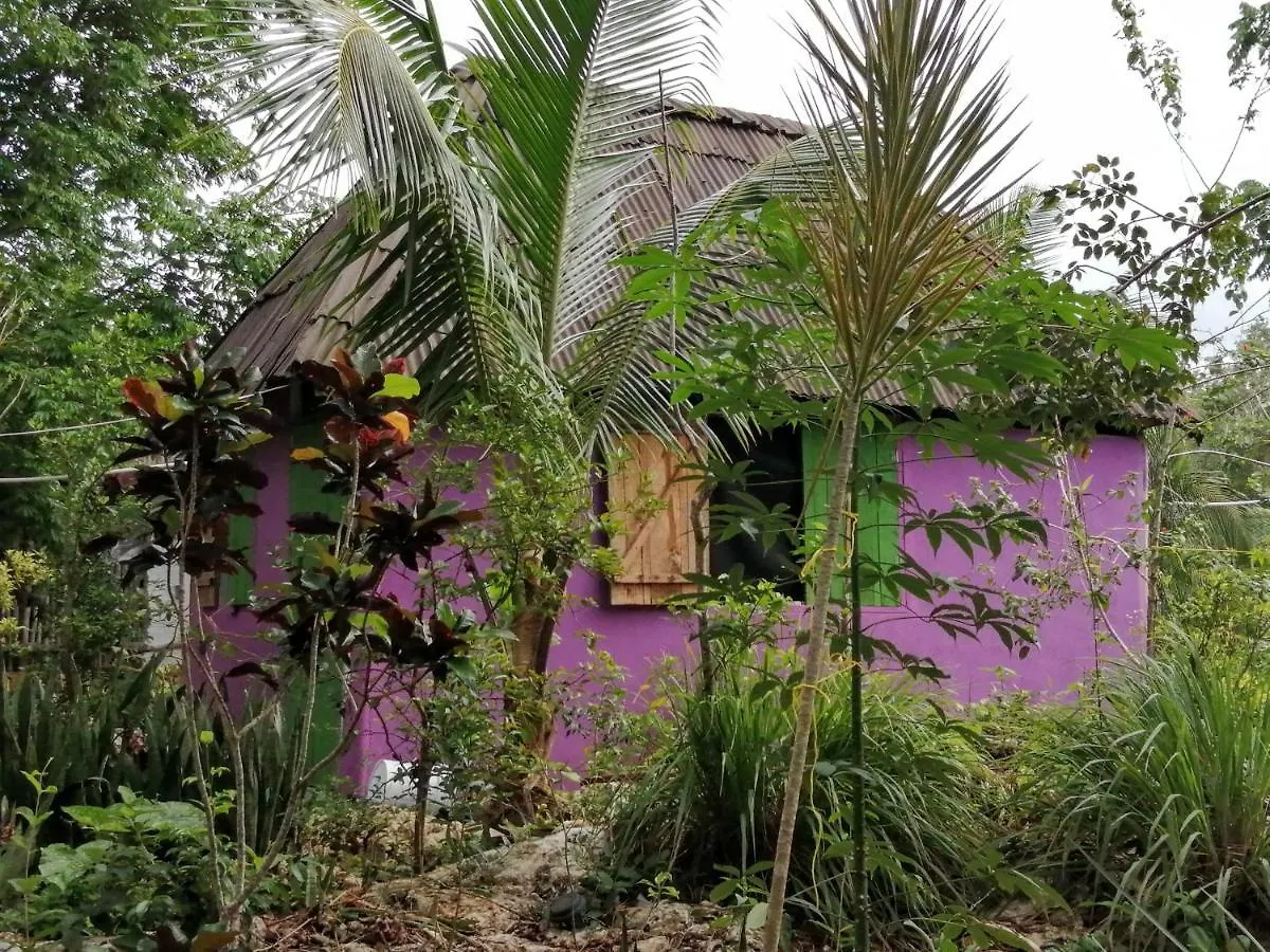 Вилла Jungle Oasis Тулум Мексика